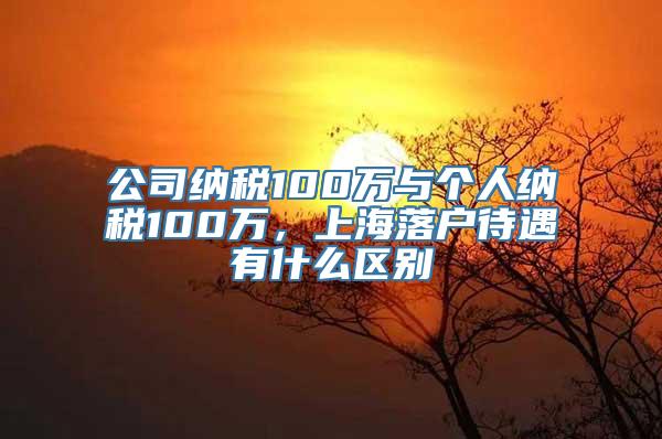 公司纳税100万与个人纳税100万，上海落户待遇有什么区别