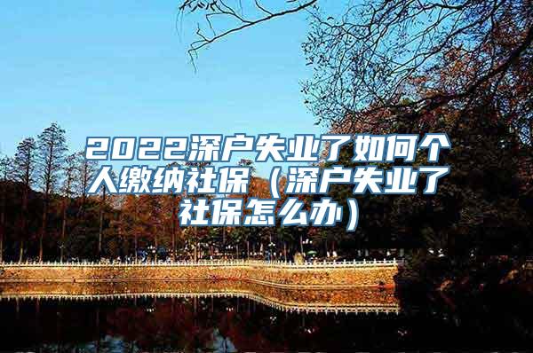 2022深户失业了如何个人缴纳社保（深户失业了社保怎么办）