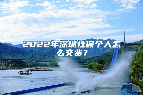 2022年深圳社保个人怎么交费？