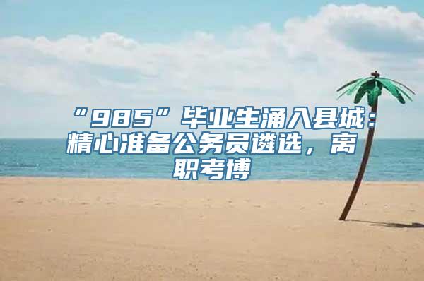 “985”毕业生涌入县城：精心准备公务员遴选，离职考博