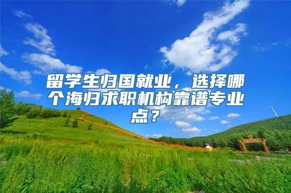 留学生归国就业，选择哪个海归求职机构靠谱专业点？