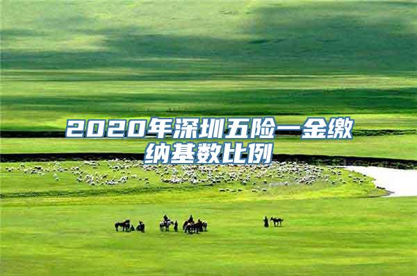 2020年深圳五险一金缴纳基数比例