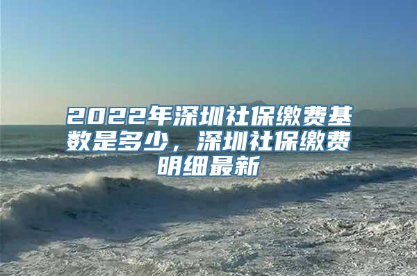 2022年深圳社保缴费基数是多少，深圳社保缴费明细最新