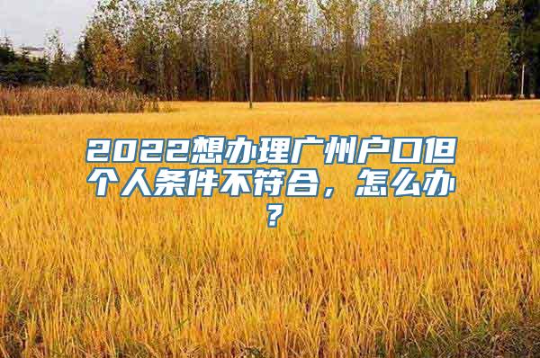 2022想办理广州户口但个人条件不符合，怎么办？