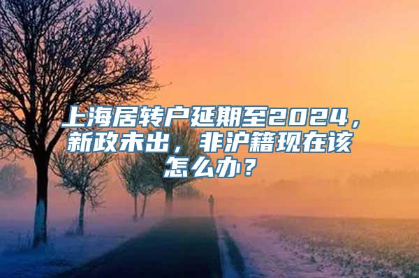 上海居转户延期至2024，新政未出，非沪籍现在该怎么办？