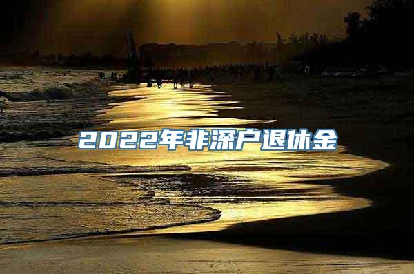 2022年非深户退休金