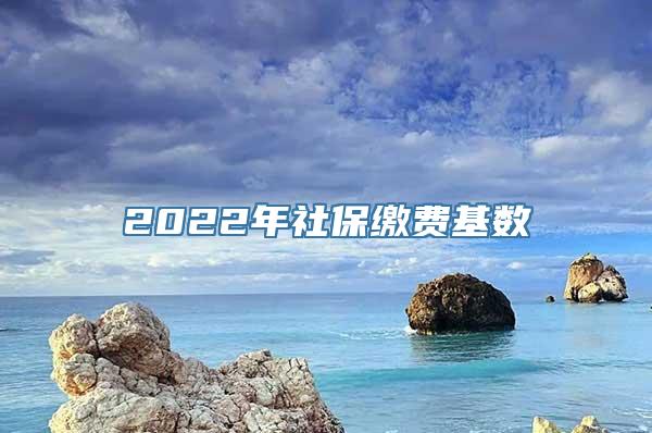 2022年社保缴费基数