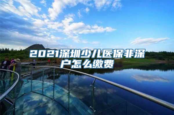 2021深圳少儿医保非深户怎么缴费