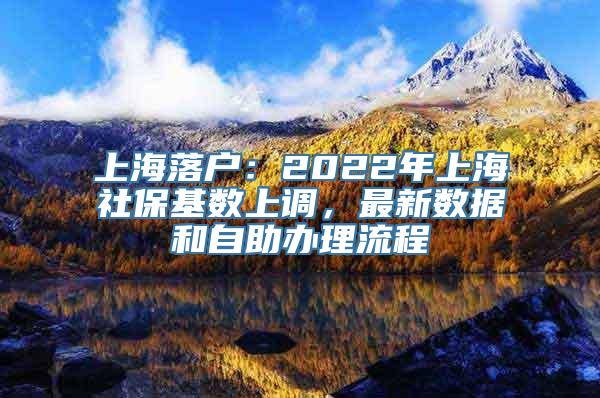 上海落户：2022年上海社保基数上调，最新数据和自助办理流程