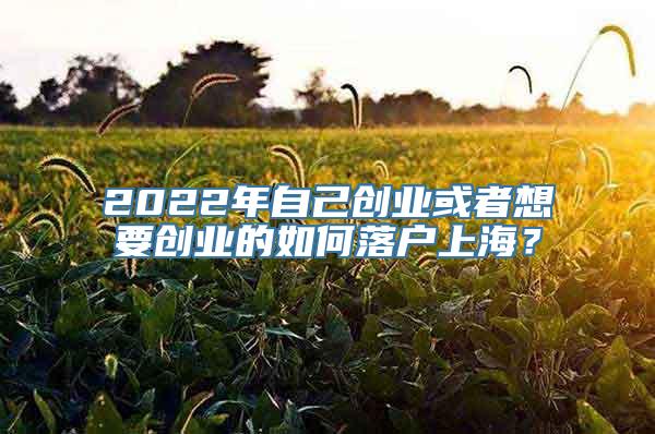 2022年自己创业或者想要创业的如何落户上海？