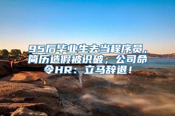 95后毕业生去当程序员，简历造假被识破，公司命令HR：立马辞退！