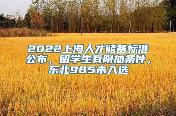 2022上海人才储备标准公布，留学生有附加条件，东北985未入选