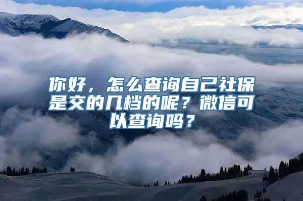 你好，怎么查询自己社保是交的几档的呢？微信可以查询吗？