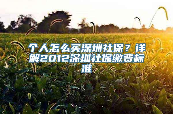 个人怎么买深圳社保？详解2012深圳社保缴费标准