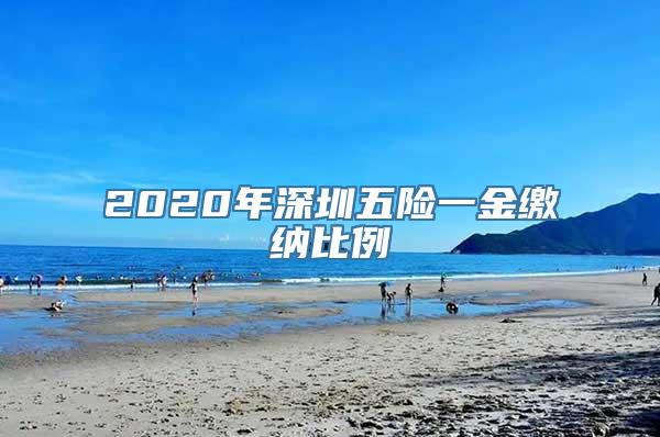 2020年深圳五险一金缴纳比例