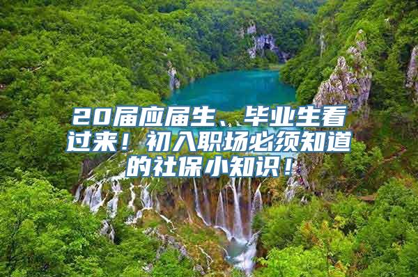 20届应届生、毕业生看过来！初入职场必须知道的社保小知识！