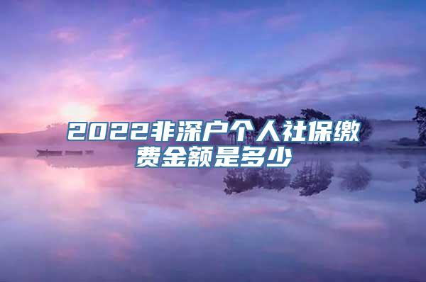 2022非深户个人社保缴费金额是多少