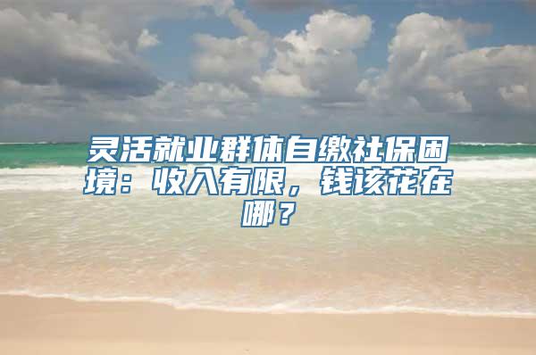 灵活就业群体自缴社保困境：收入有限，钱该花在哪？