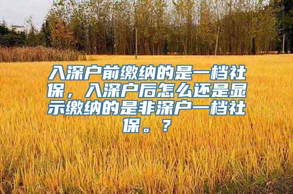 入深户前缴纳的是一档社保，入深户后怎么还是显示缴纳的是非深户一档社保。？