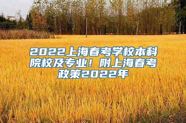 2022上海春考学校本科院校及专业！附上海春考政策2022年