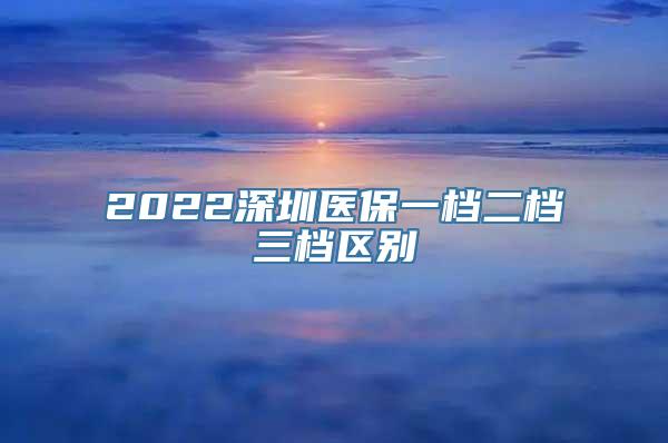 2022深圳医保一档二档三档区别