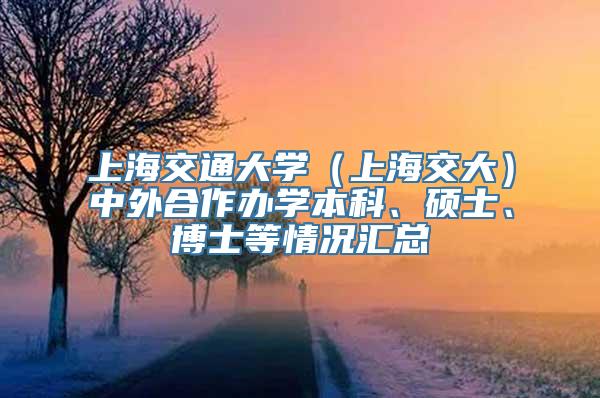 上海交通大学（上海交大）中外合作办学本科、硕士、博士等情况汇总