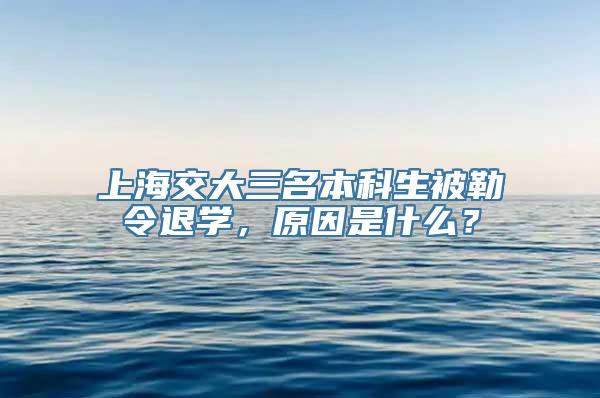 上海交大三名本科生被勒令退学，原因是什么？