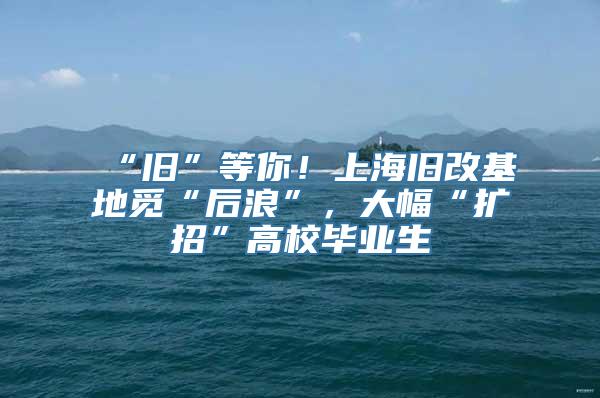 “旧”等你！上海旧改基地觅“后浪”，大幅“扩招”高校毕业生