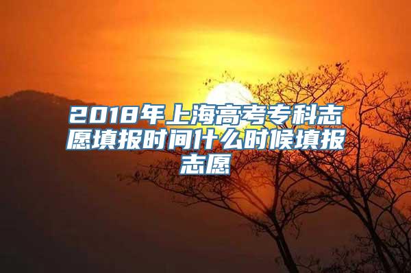 2018年上海高考专科志愿填报时间什么时候填报志愿