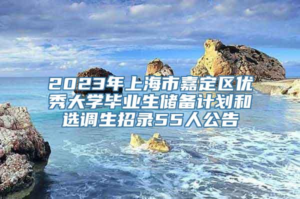 2023年上海市嘉定区优秀大学毕业生储备计划和选调生招录55人公告