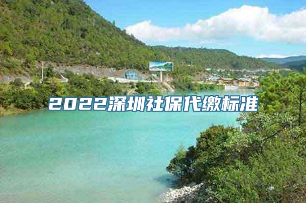 2022深圳社保代缴标准