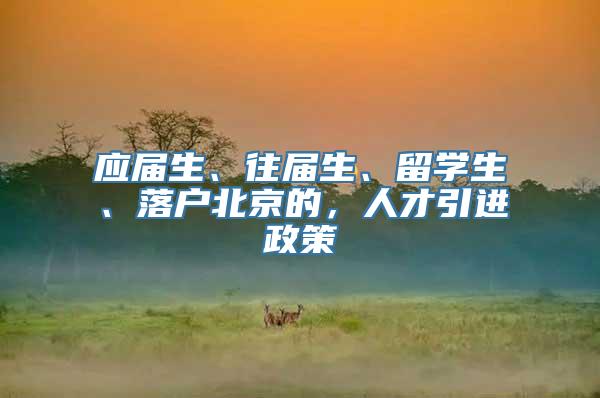 应届生、往届生、留学生、落户北京的，人才引进政策