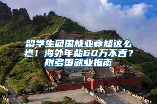 留学生回国就业竟然这么惨！海外年薪60万不香？附多国就业指南