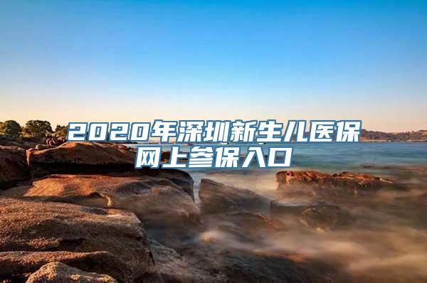 2020年深圳新生儿医保网上参保入口