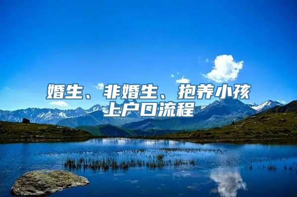 婚生、非婚生、抱养小孩上户口流程