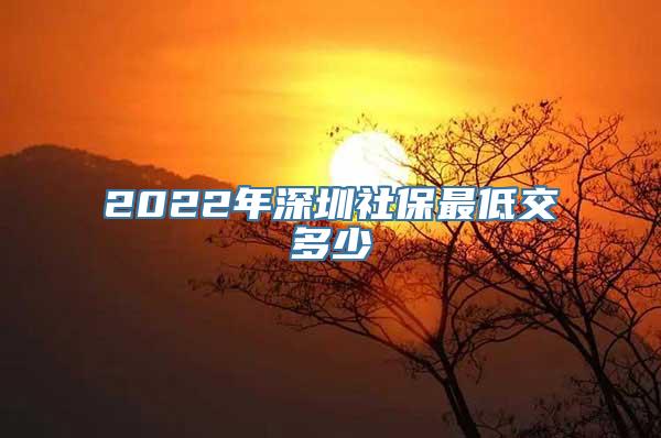 2022年深圳社保最低交多少