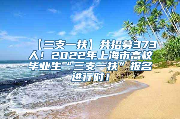 【三支一扶】共招募373人！2022年上海市高校毕业生“三支一扶”报名进行时！