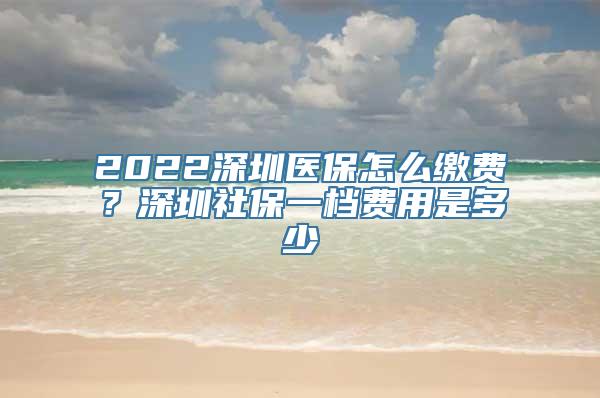 2022深圳医保怎么缴费？深圳社保一档费用是多少