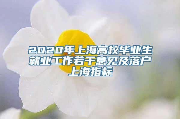 2020年上海高校毕业生就业工作若干意见及落户上海指标