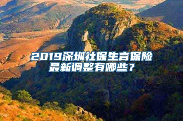 2019深圳社保生育保险最新调整有哪些？