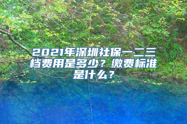 2021年深圳社保一二三档费用是多少？缴费标准是什么？