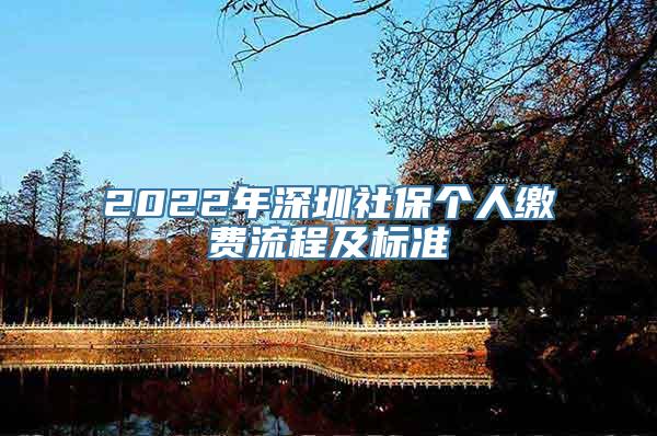 2022年深圳社保个人缴费流程及标准