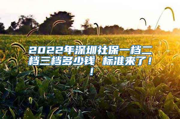 2022年深圳社保一档二档三档多少钱 标准来了！！