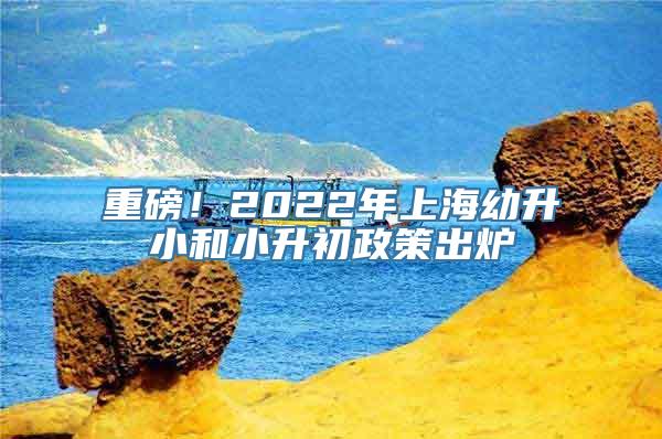 重磅！2022年上海幼升小和小升初政策出炉