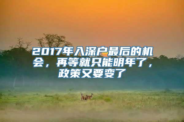 2017年入深户最后的机会，再等就只能明年了，政策又要变了