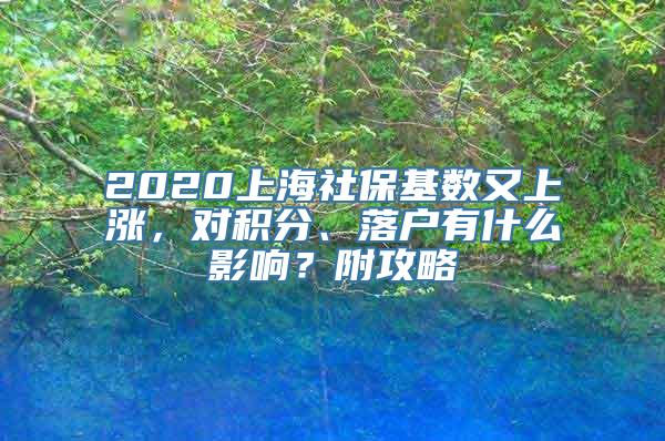 2020上海社保基数又上涨，对积分、落户有什么影响？附攻略