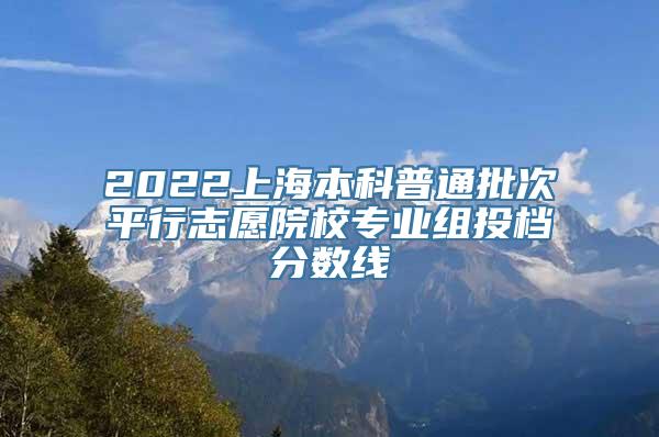 2022上海本科普通批次平行志愿院校专业组投档分数线