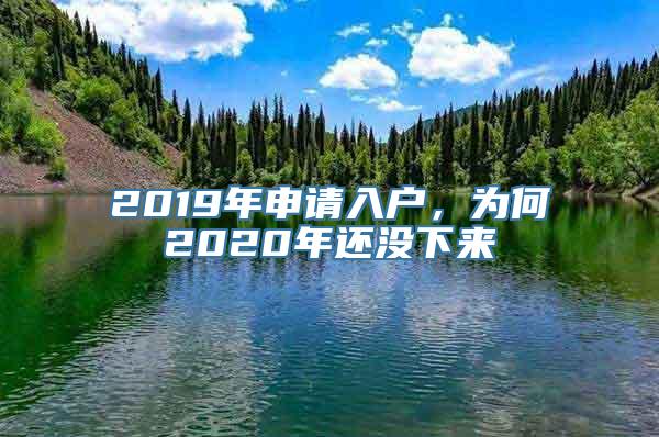 2019年申请入户，为何2020年还没下来