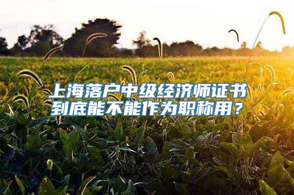 上海落户中级经济师证书到底能不能作为职称用？