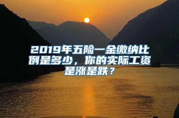 2019年五险一金缴纳比例是多少，你的实际工资是涨是跌？